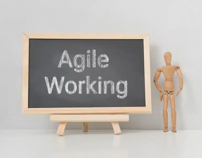Blog Agile Working P8 2022 BlogPicture.png
