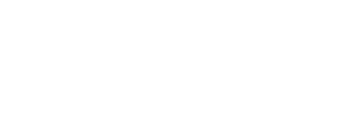 Viking logo wit